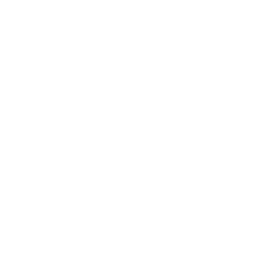 Alexzaj Logo