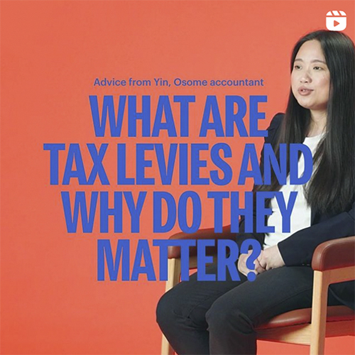 What are tax levies